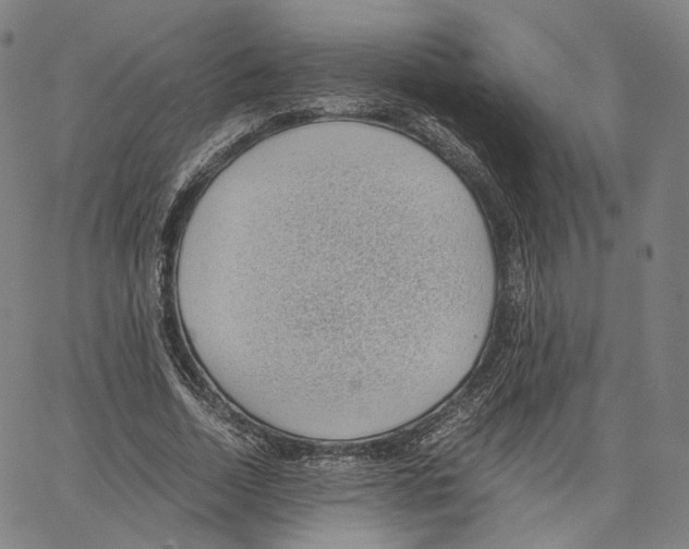X0000062600730200601181604