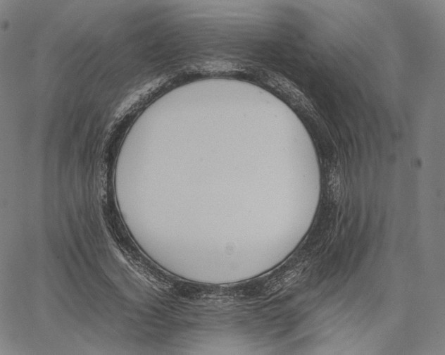 X0000062600732200601181604