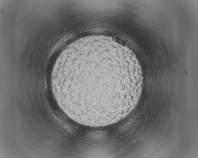 X0000062600734200601181604