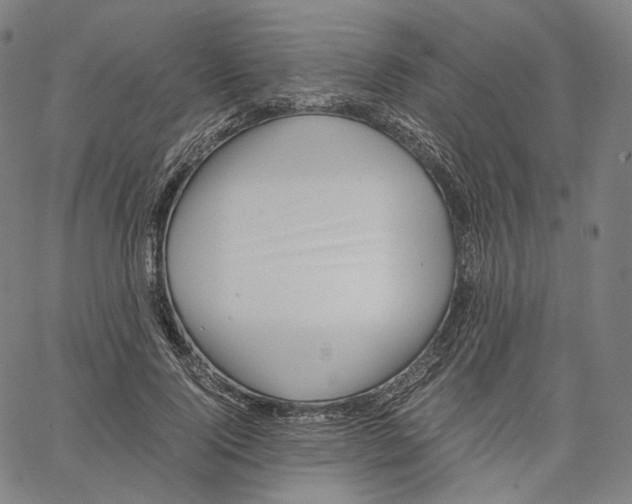 X0000062600740200601181604