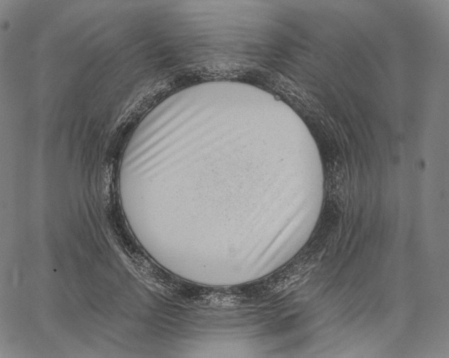 X0000062600742200601181604
