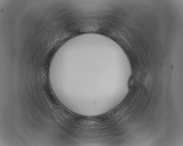 X0000062600743200601181604