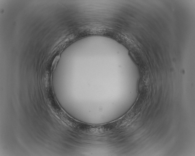 X0000062600744200601181604