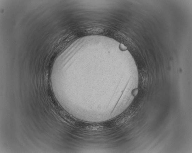 X0000062600745200601181604
