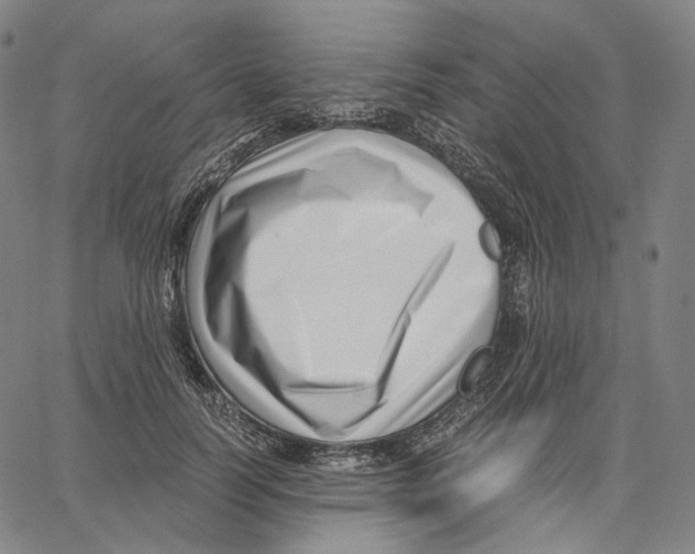 X0000062600746200601181604