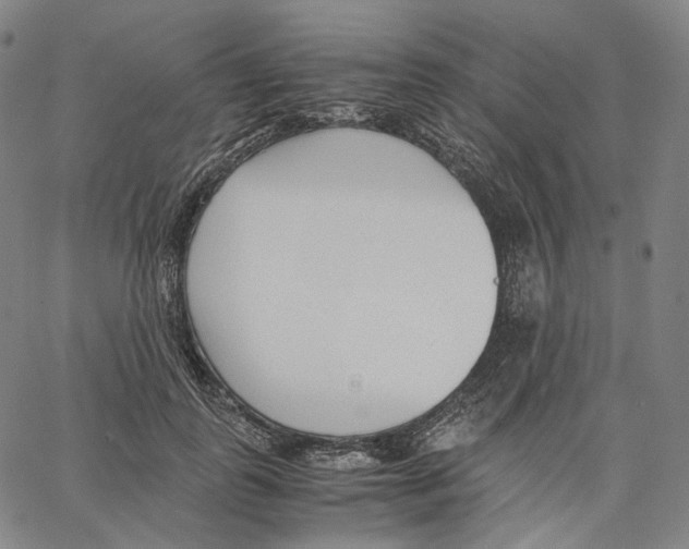 X0000062600747200601181604