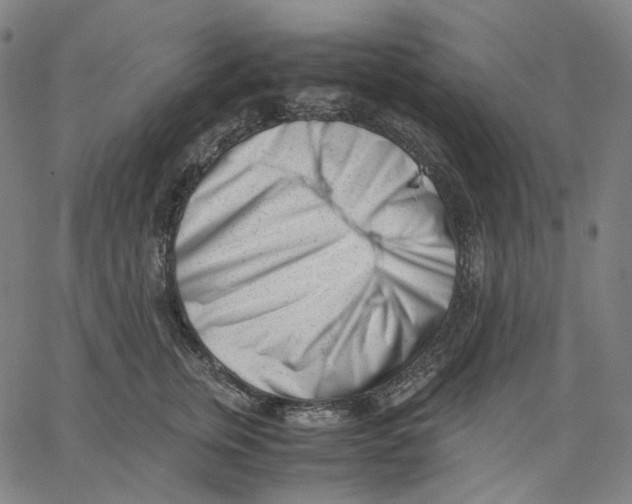 X0000062600759200601181604