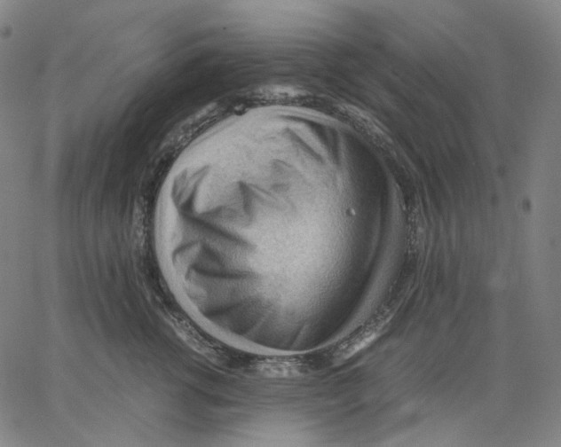X0000062600762200601181604