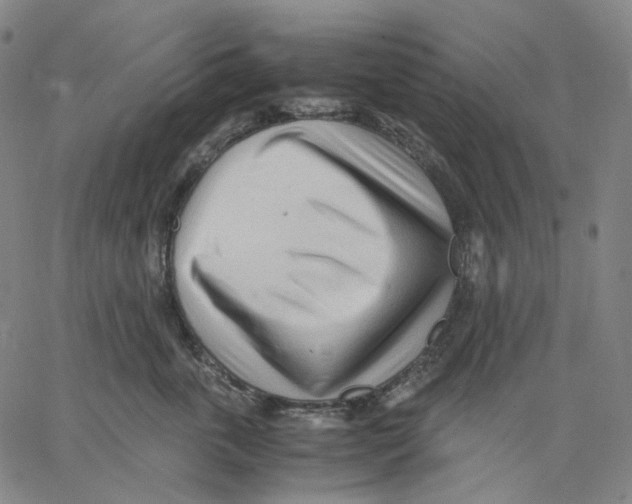 X0000062600763200601181604