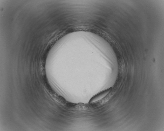 X0000062600764200601181604