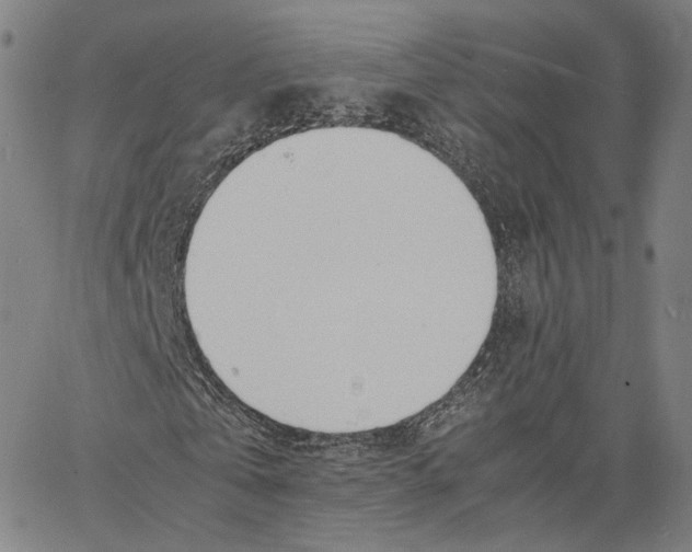 X0000062600769200601181603