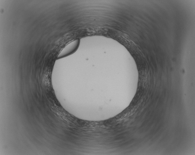 X0000062600770200601181603