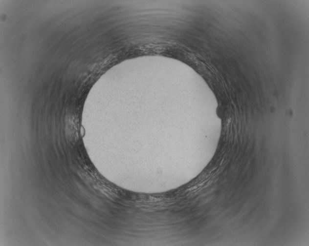 X0000062600772200601181603