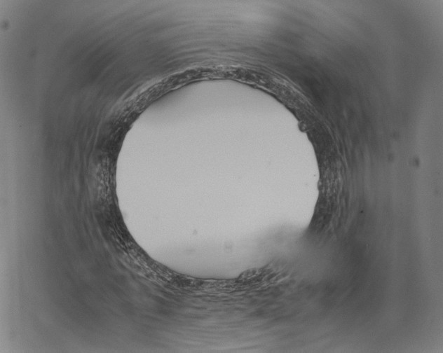X0000062600773200601181603