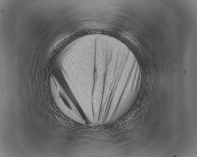 X0000062600775200601181603