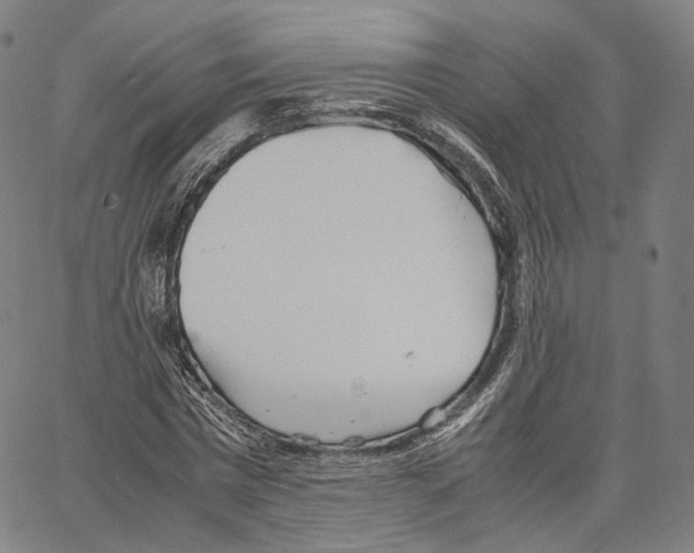 X0000062600777200601181603