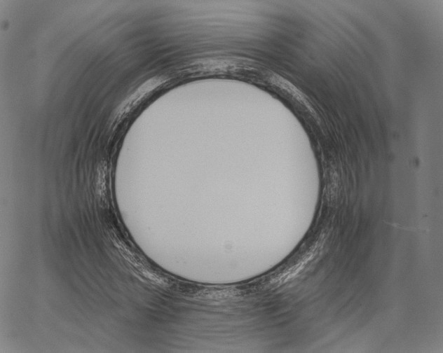 X0000062600778200601181603
