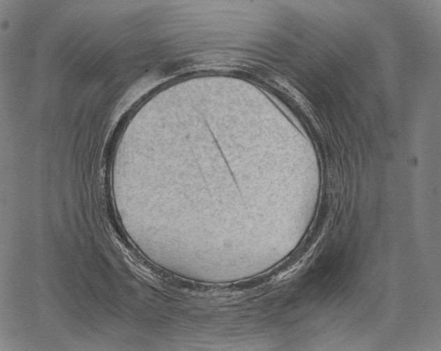 X0000062600779200601181603