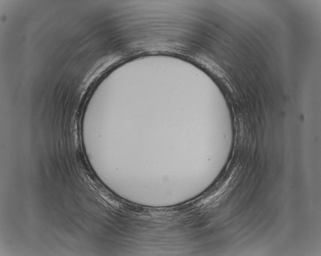 X0000062600782200601181603
