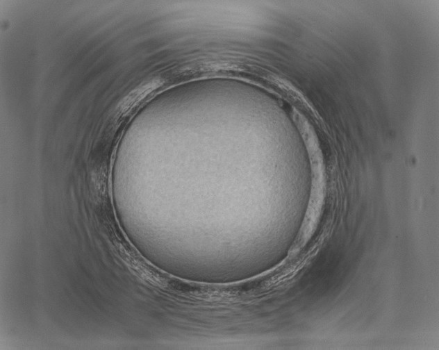 X0000062600785200601181603