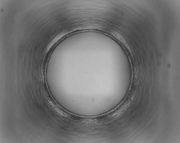 X0000062600789200601181603