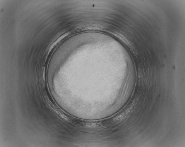 X0000062600790200601181603