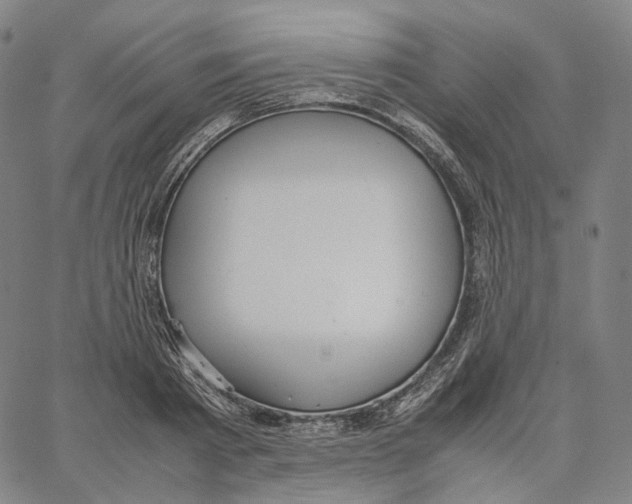 X0000062600793200601181603
