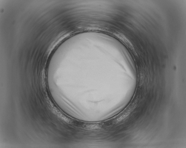 X0000062600798200601181603