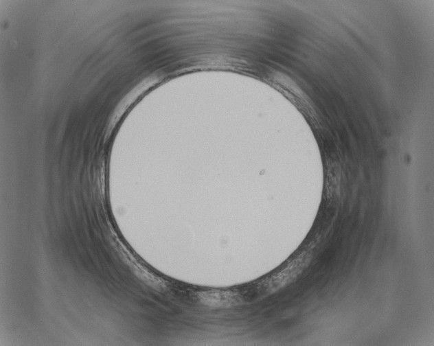 X0000062600804200601181603