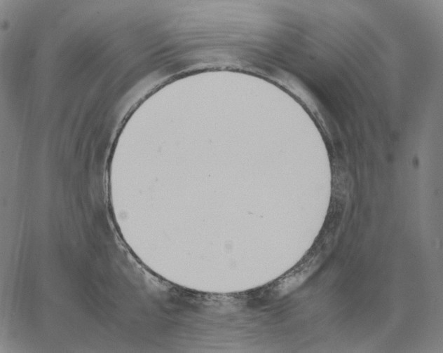 X0000062600807200601181603