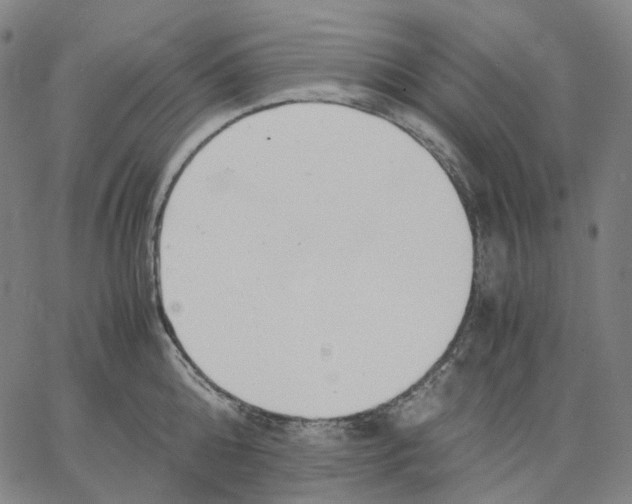 X0000062600808200601181603