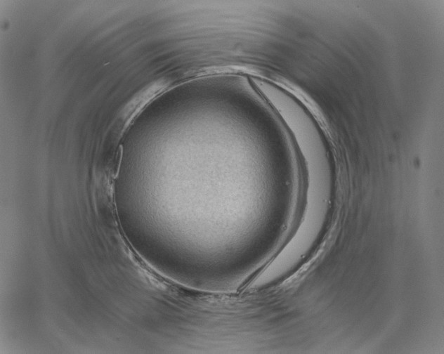 X0000062600809200601181603