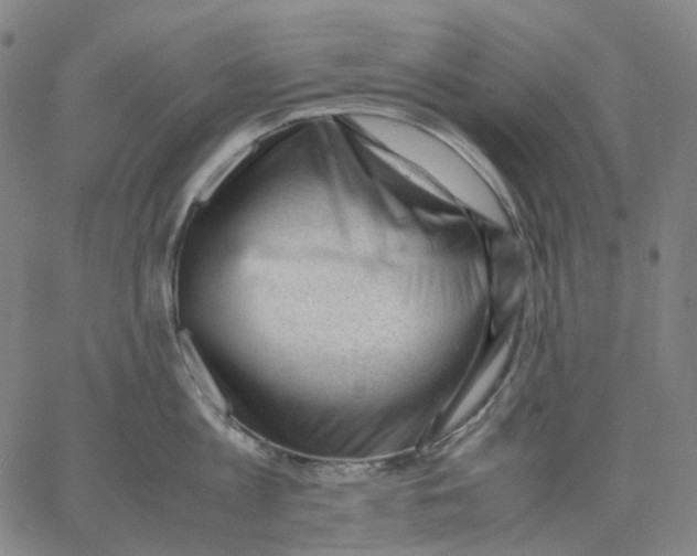 X0000062600813200601181603