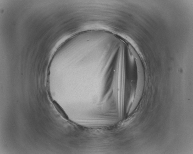 X0000062600815200601181603