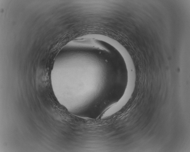 X0000062600818200601181602