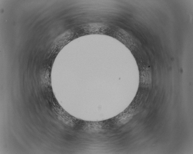 X0000062600820200601181602