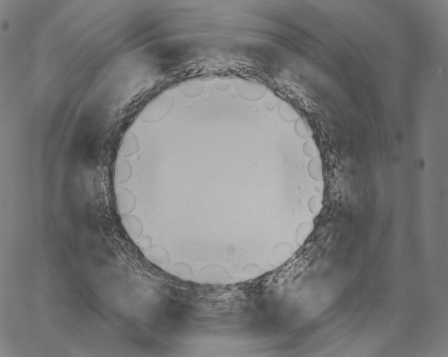 X0000062600824200601181602