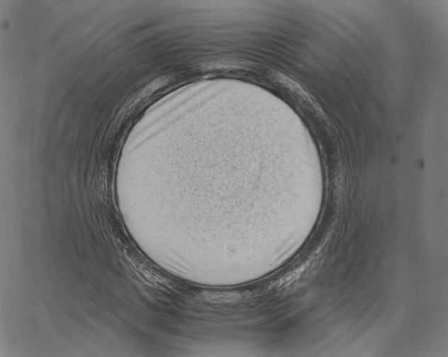 X0000062600825200601181602
