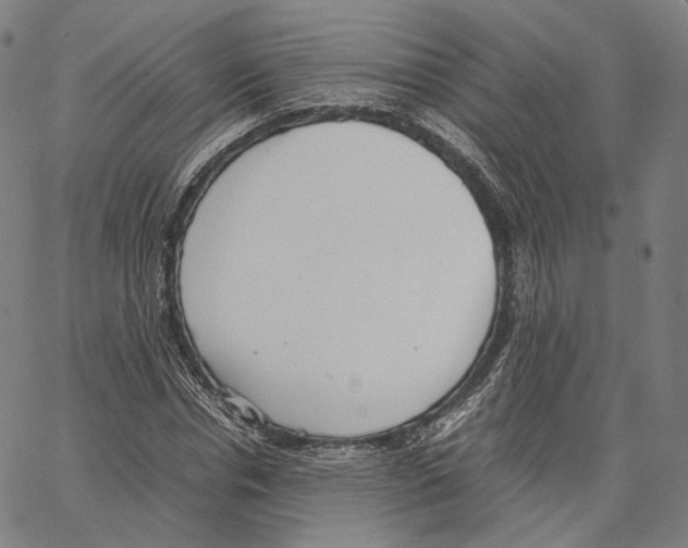 X0000062600826200601181602