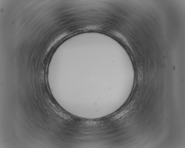 X0000062600827200601181602