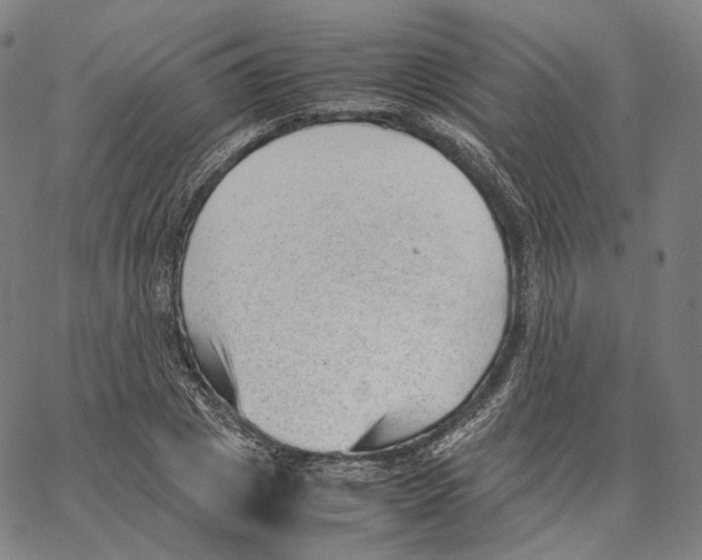 X0000062600833200601181602