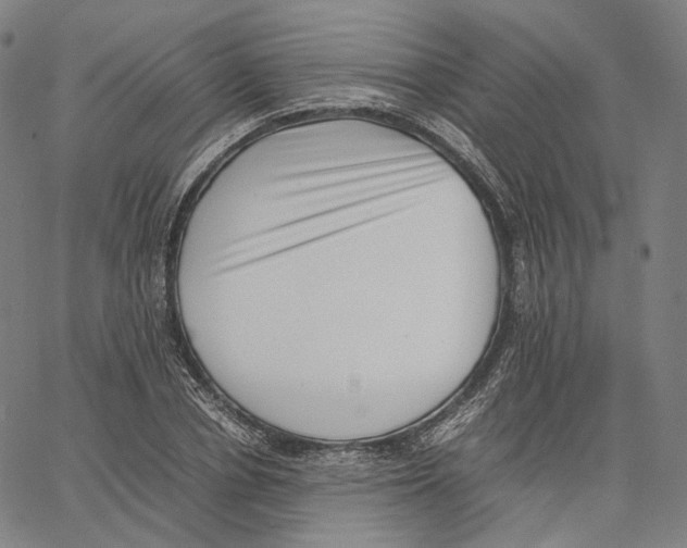 X0000062600834200601181602