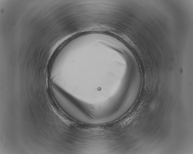 X0000062600838200601181602