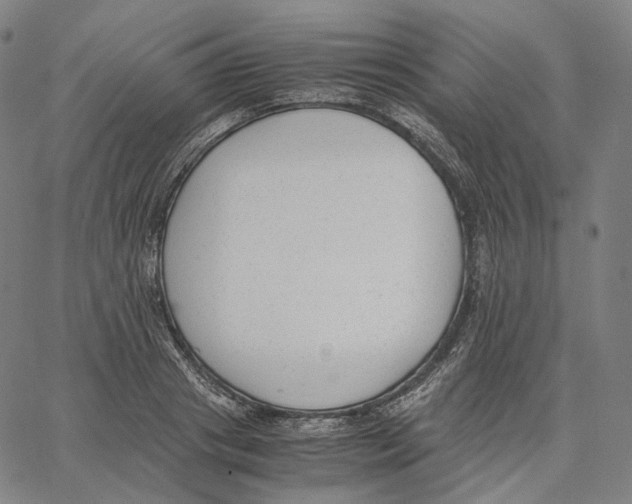X0000062600841200601181602