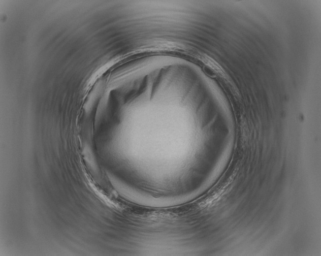 X0000062600842200601181602