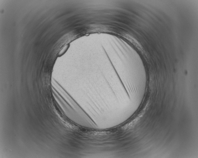 X0000062600849200601181602