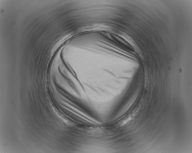 X0000062600850200601181602