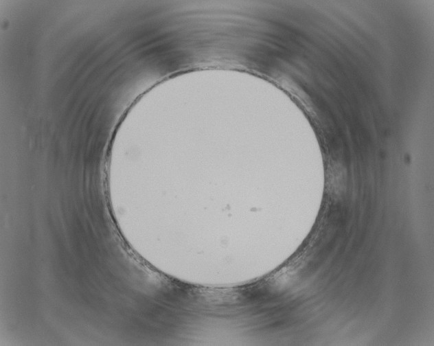 X0000062600856200601181603