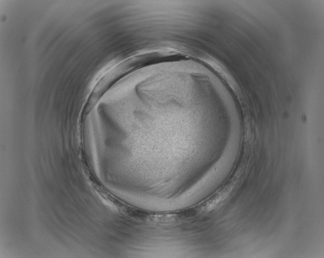 X0000062600858200601181603