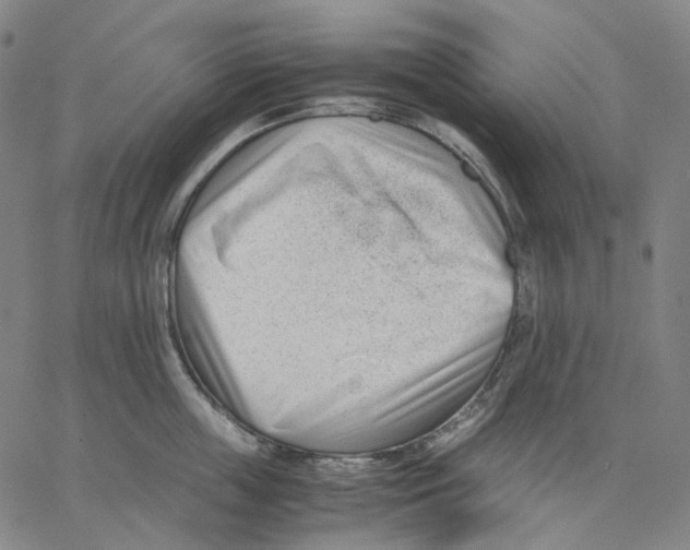 X0000062600859200601181603